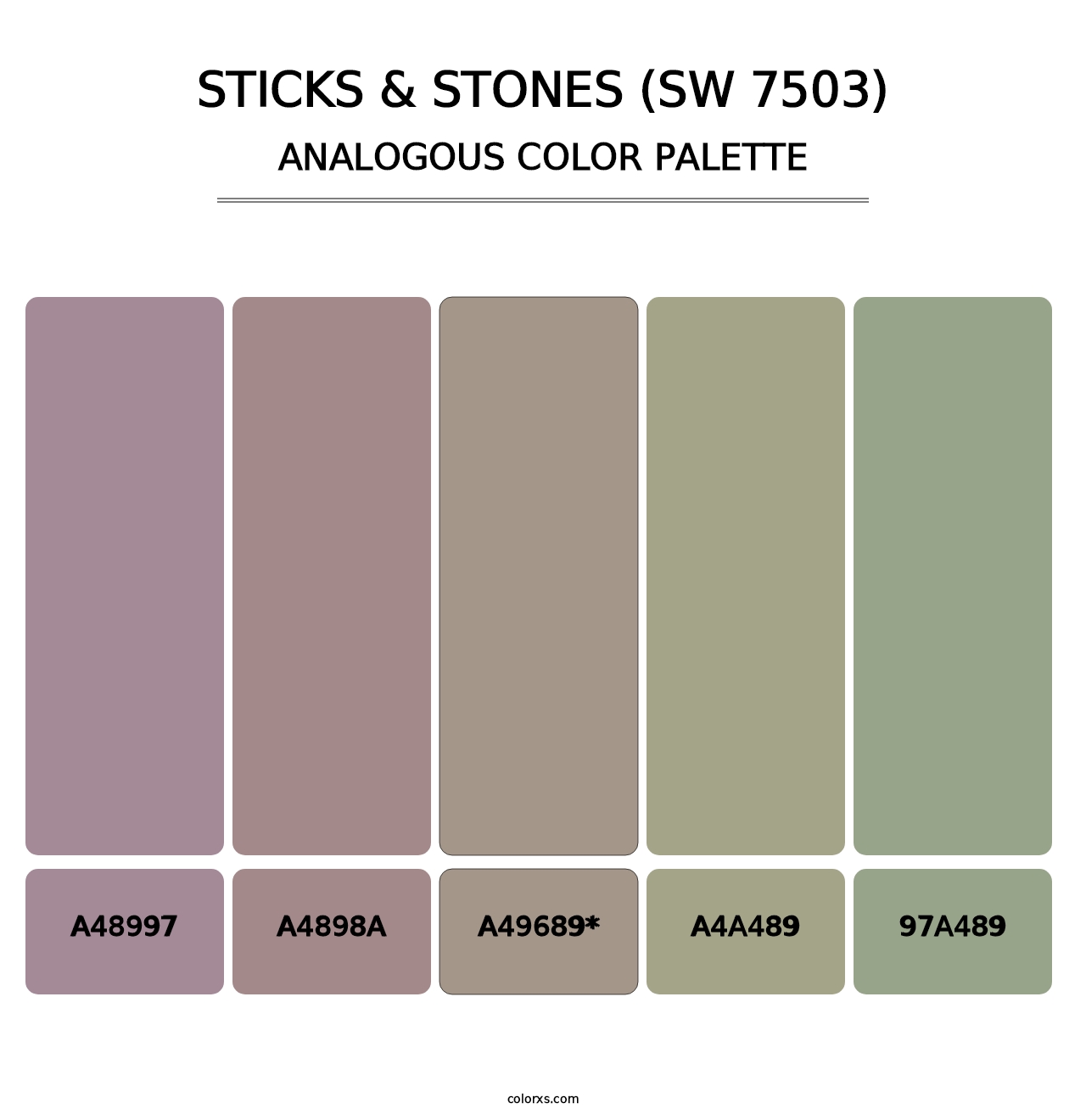 Sticks & Stones (SW 7503) - Analogous Color Palette