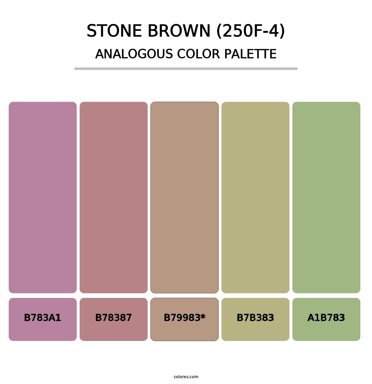Stone Brown (250F-4) - Analogous Color Palette