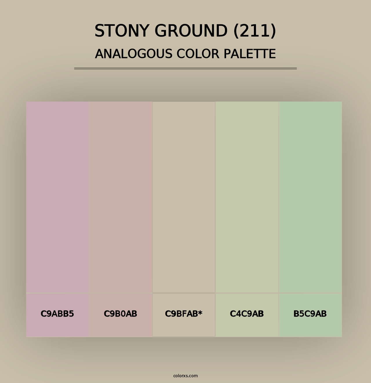 Stony Ground (211) - Analogous Color Palette