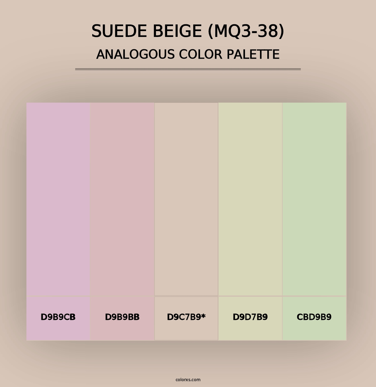 Suede Beige (MQ3-38) - Analogous Color Palette