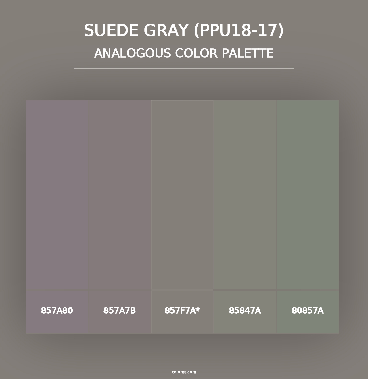 Suede Gray (PPU18-17) - Analogous Color Palette