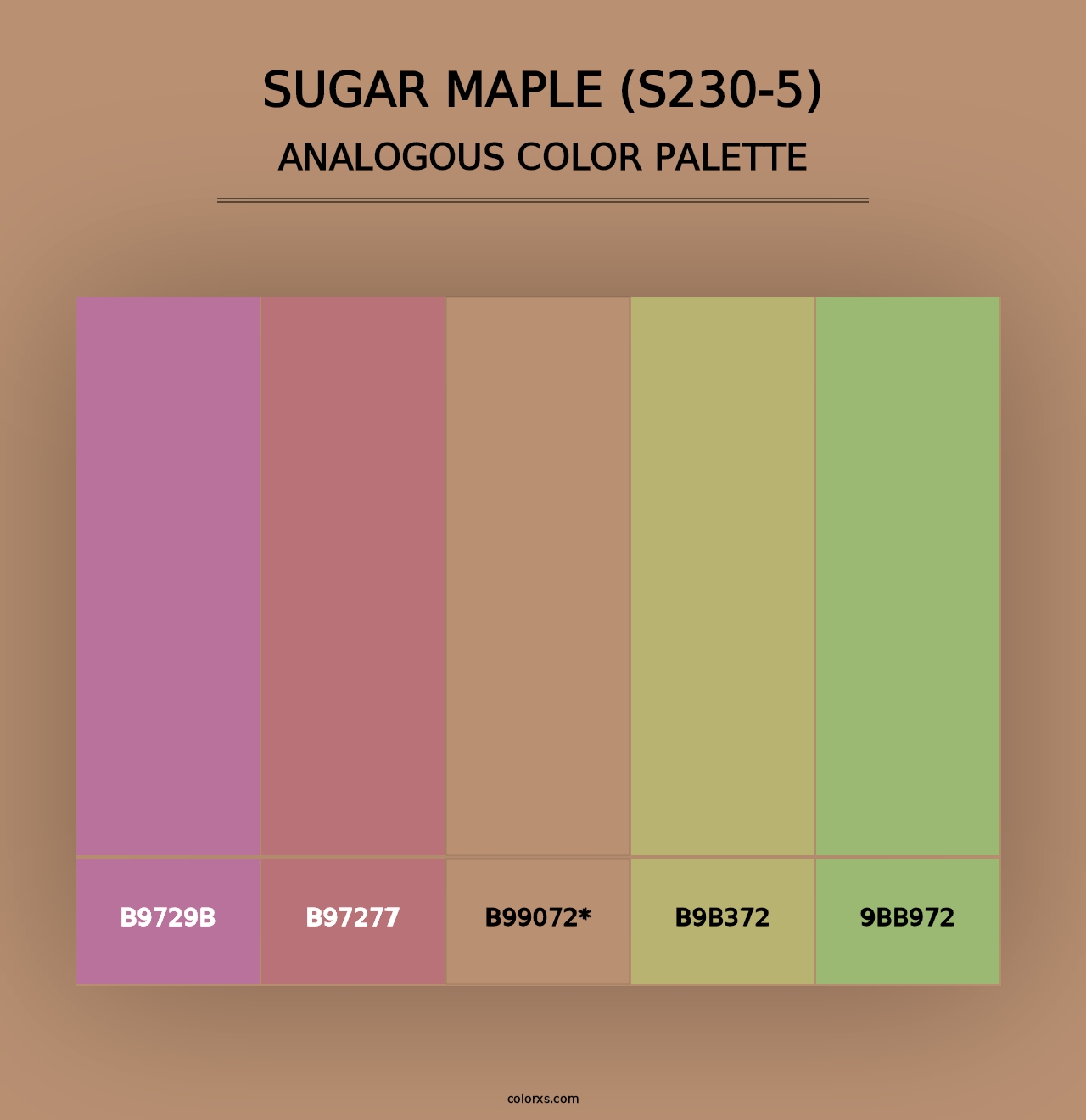 Sugar Maple (S230-5) - Analogous Color Palette