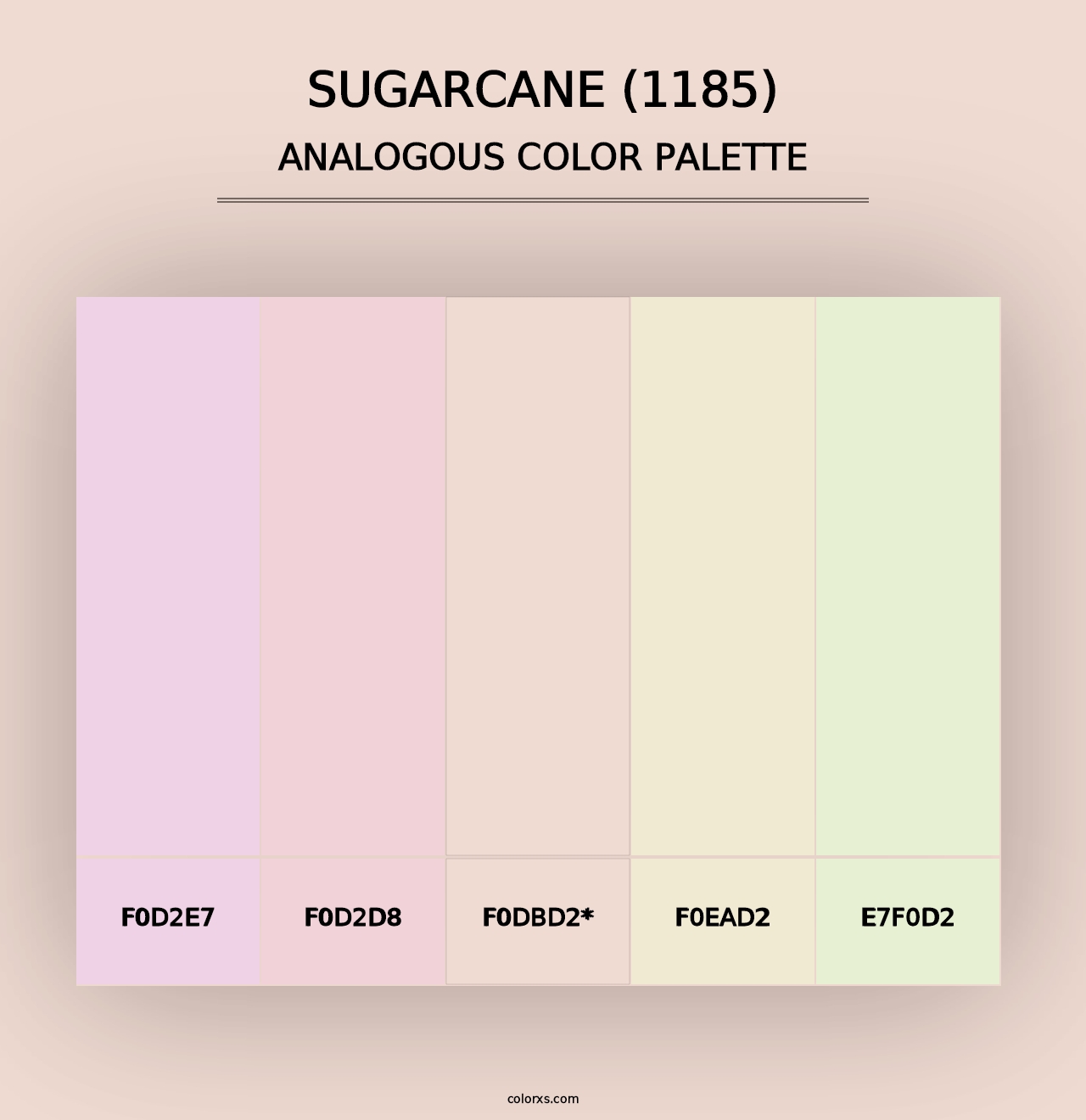 Sugarcane (1185) - Analogous Color Palette