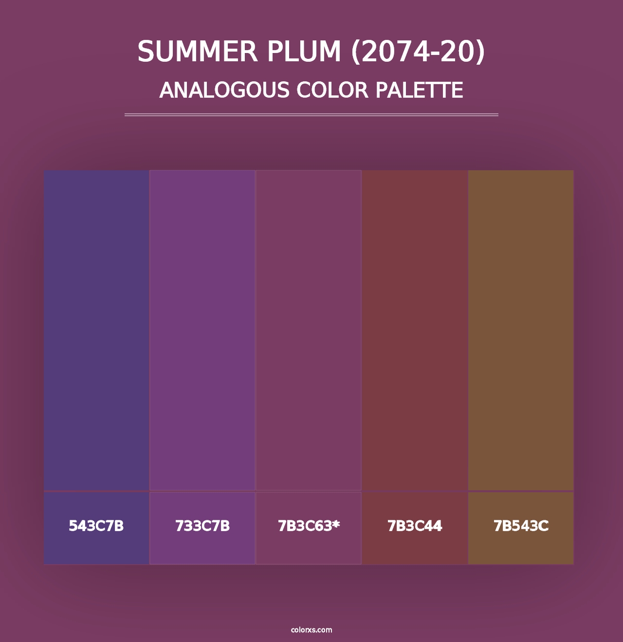 Summer Plum (2074-20) - Analogous Color Palette