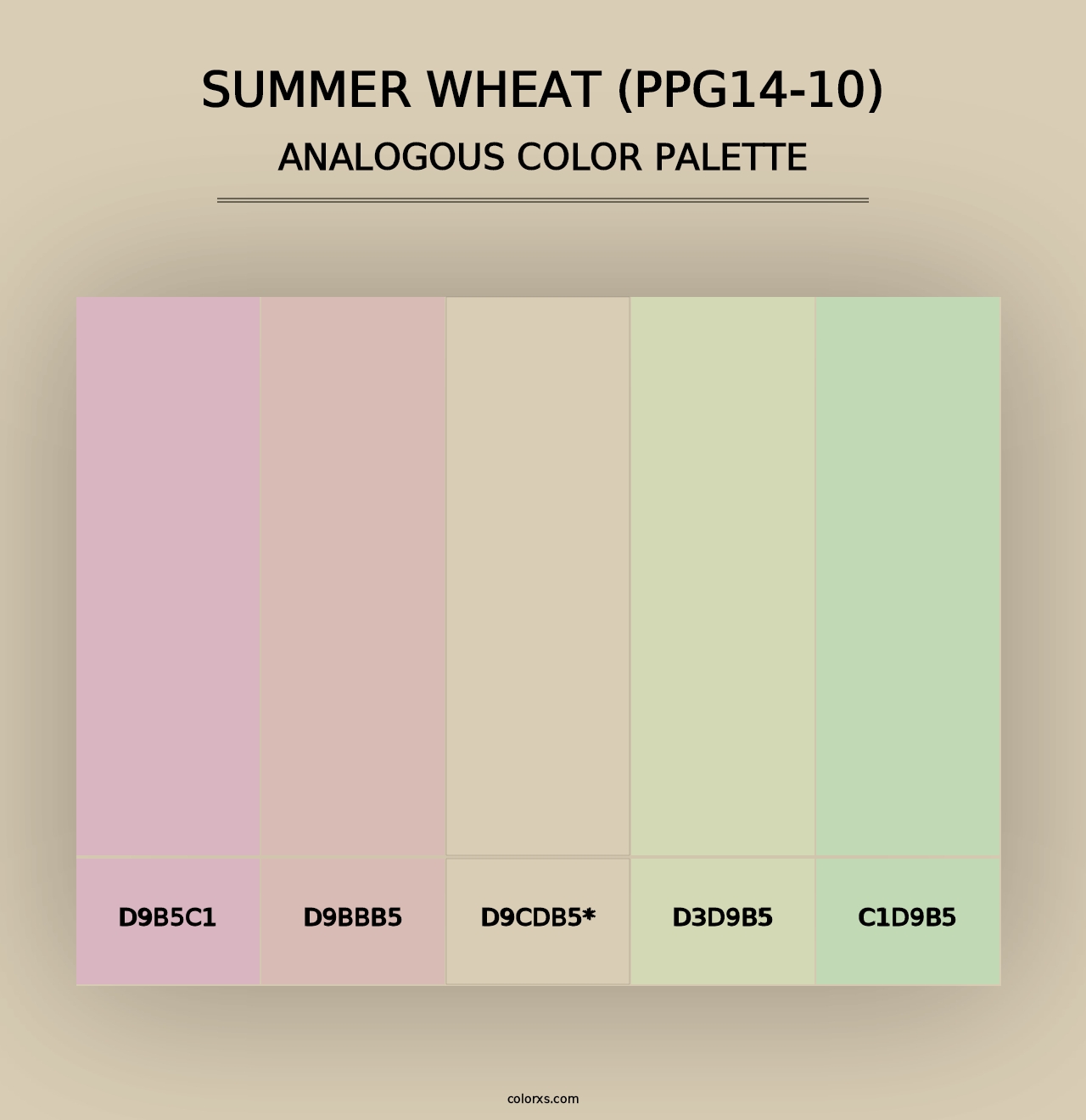 Summer Wheat (PPG14-10) - Analogous Color Palette