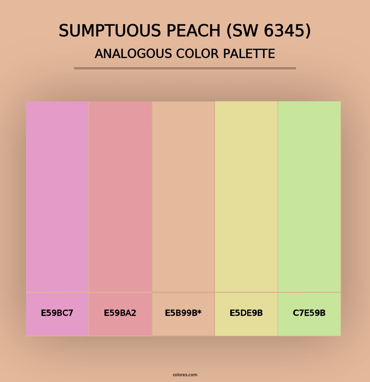 Sumptuous Peach (SW 6345) - Analogous Color Palette