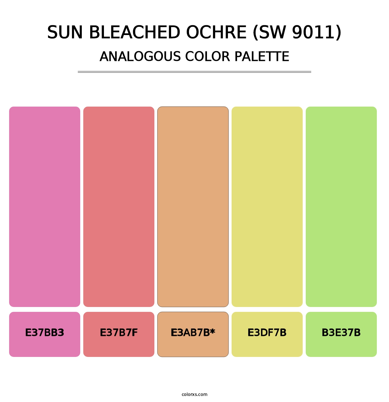 Sun Bleached Ochre (SW 9011) - Analogous Color Palette