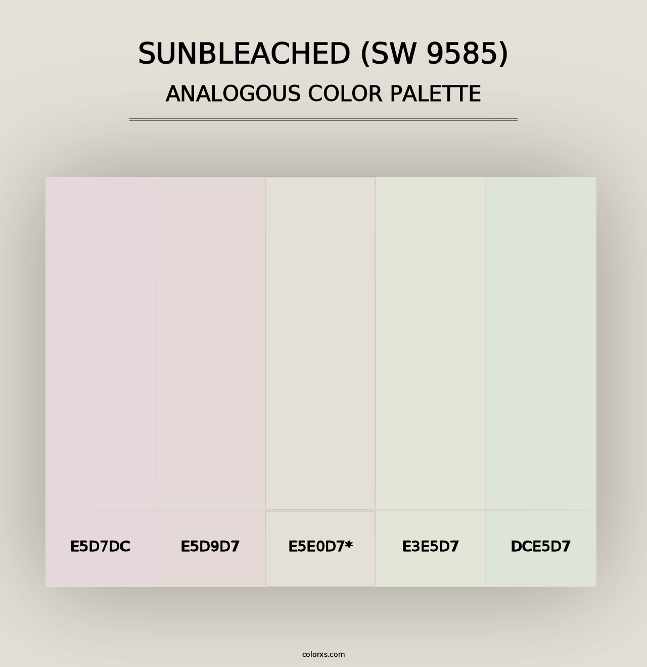 Sunbleached (SW 9585) - Analogous Color Palette