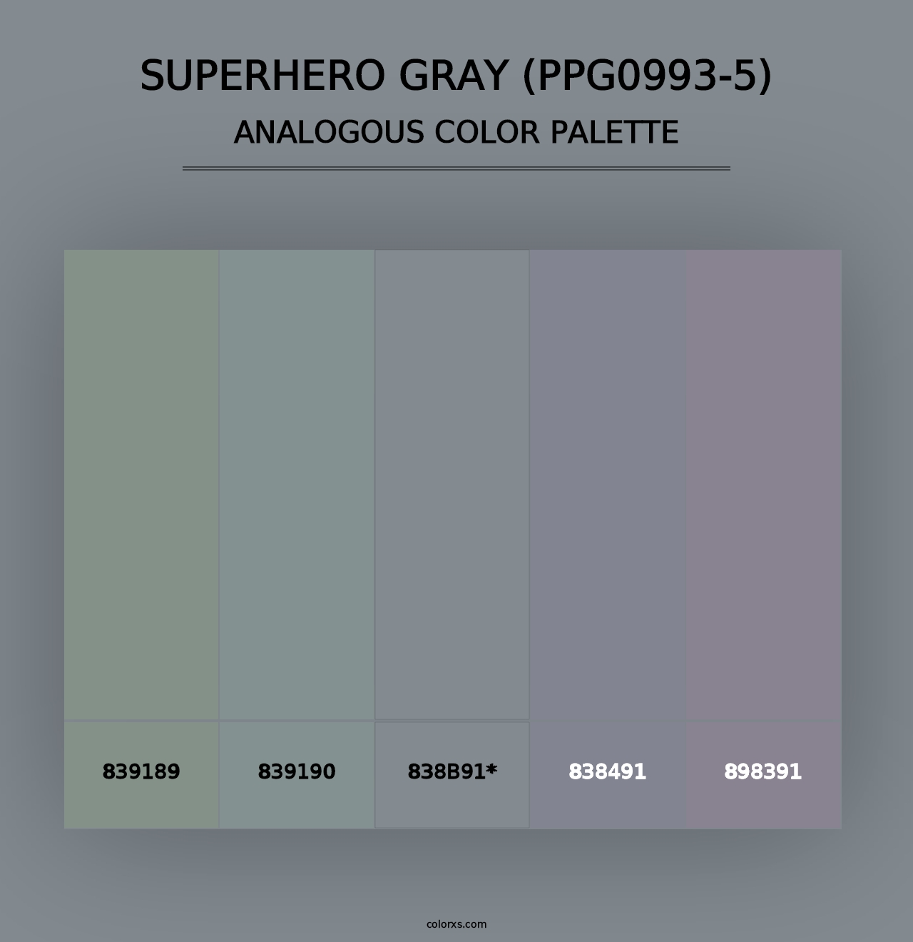 Superhero Gray (PPG0993-5) - Analogous Color Palette