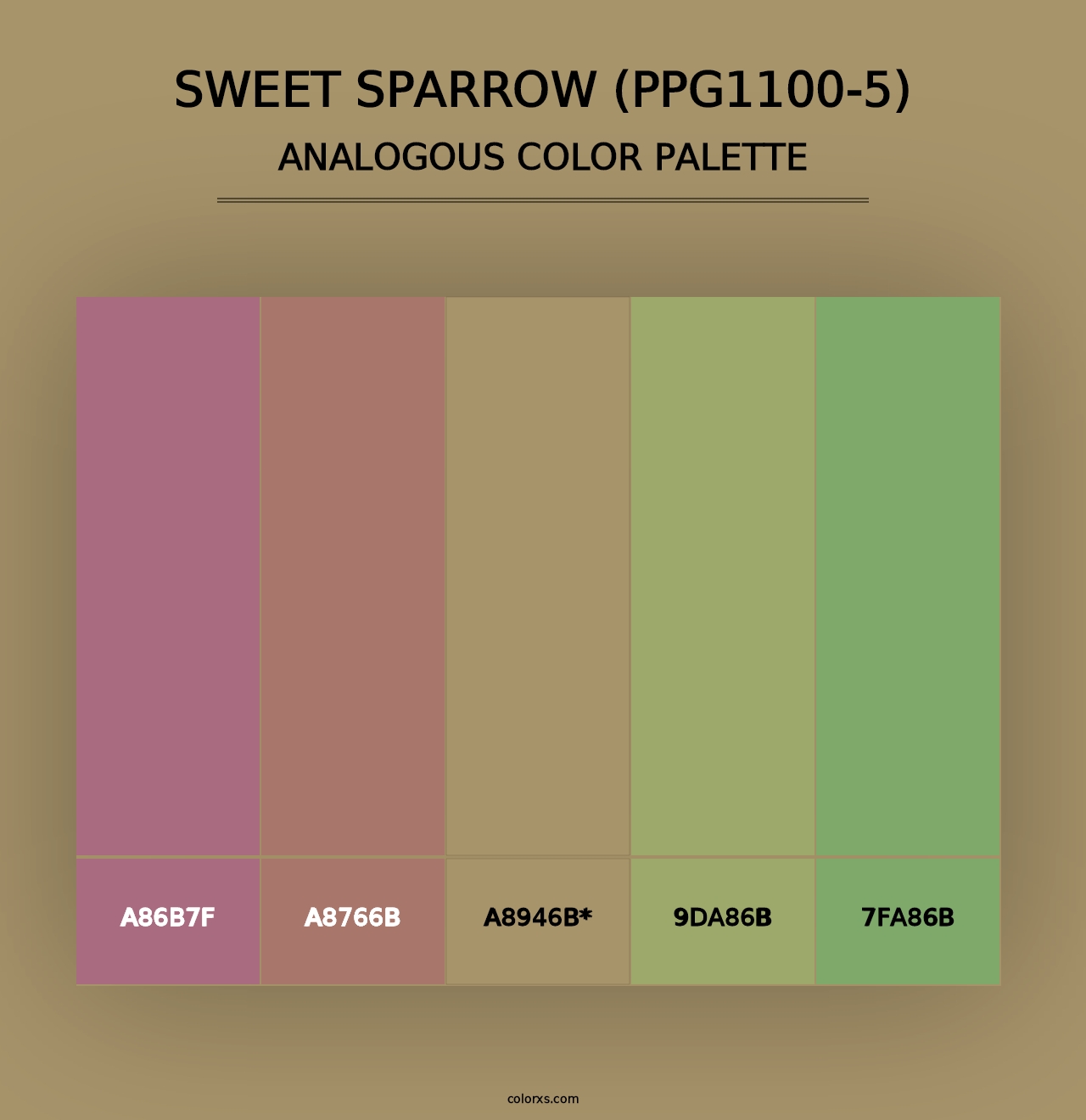 Sweet Sparrow (PPG1100-5) - Analogous Color Palette