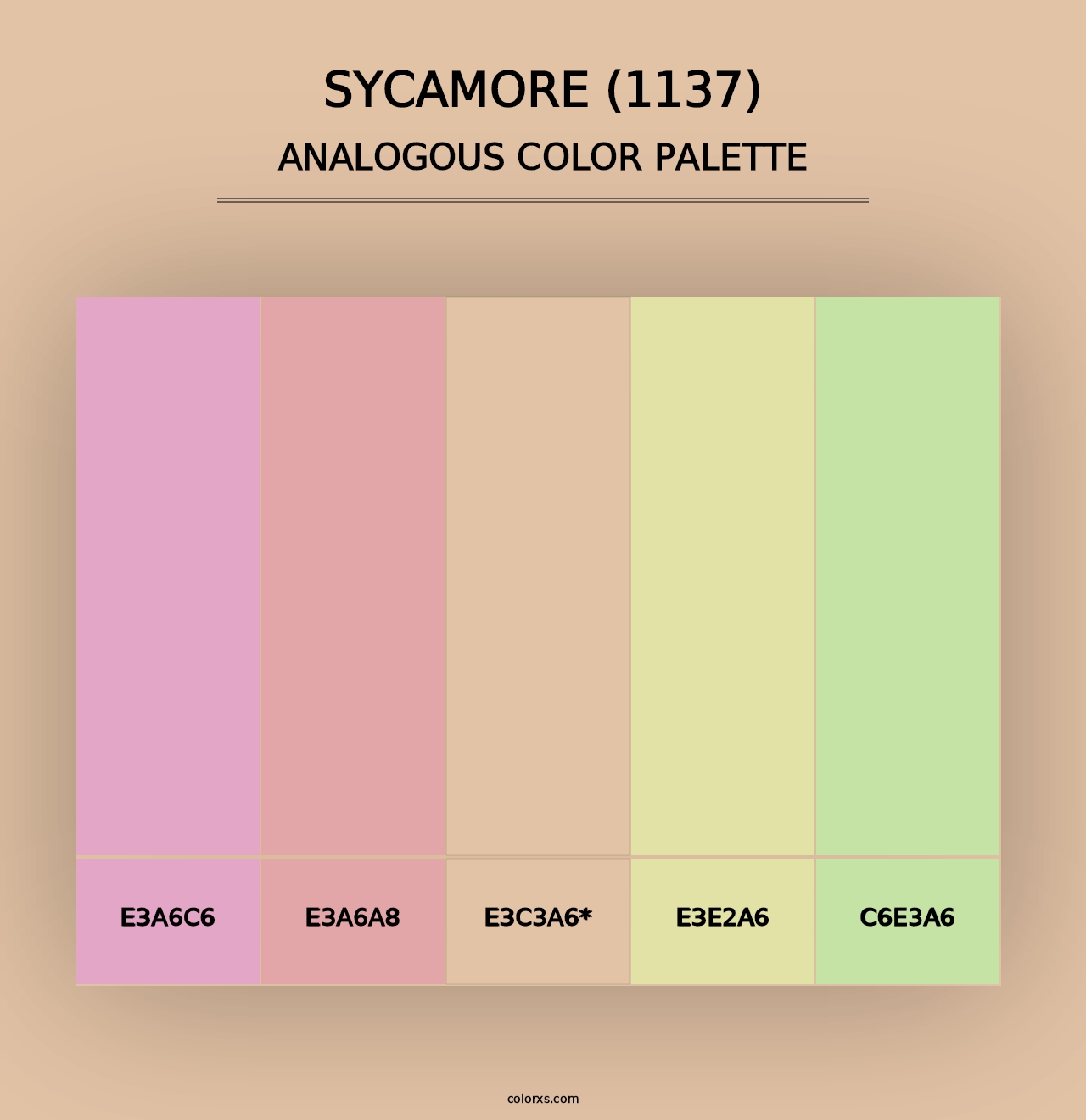 Sycamore (1137) - Analogous Color Palette