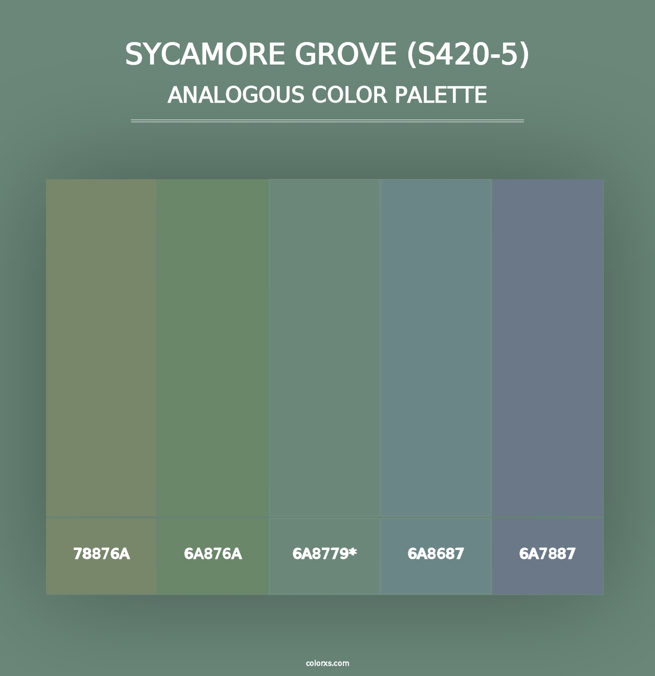 Sycamore Grove (S420-5) - Analogous Color Palette