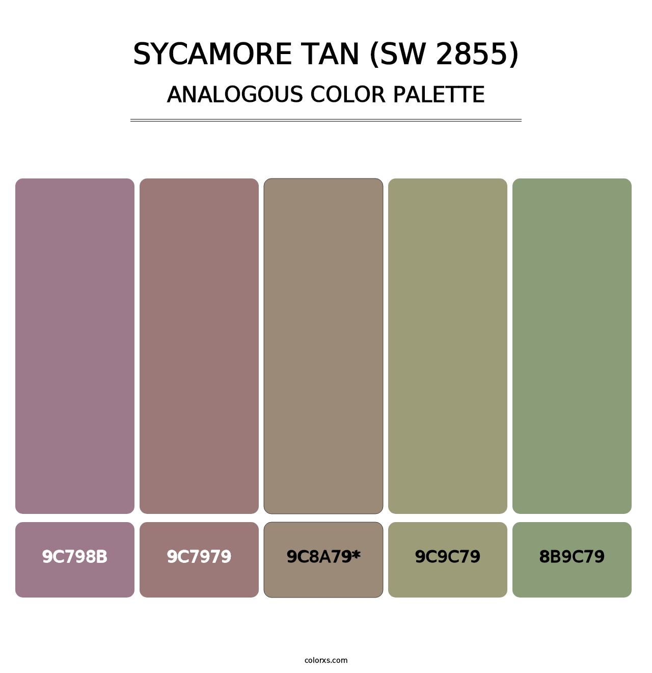 Sycamore Tan (SW 2855) - Analogous Color Palette