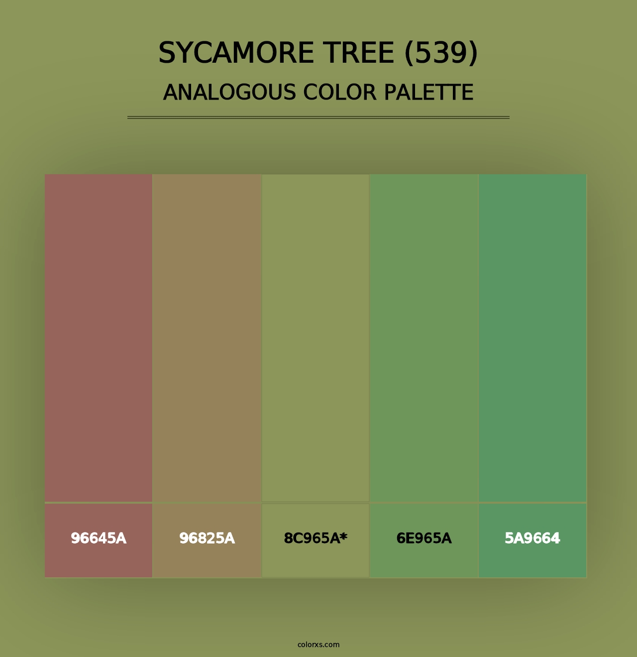 Sycamore Tree (539) - Analogous Color Palette