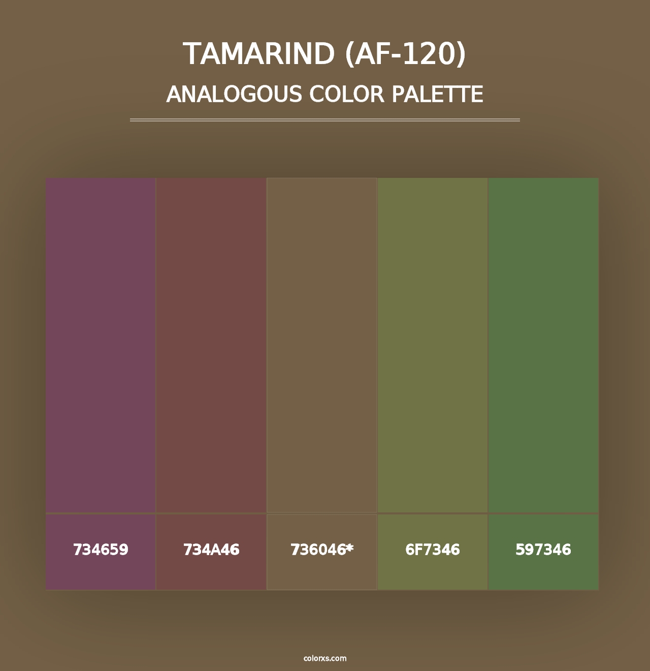 Tamarind (AF-120) - Analogous Color Palette