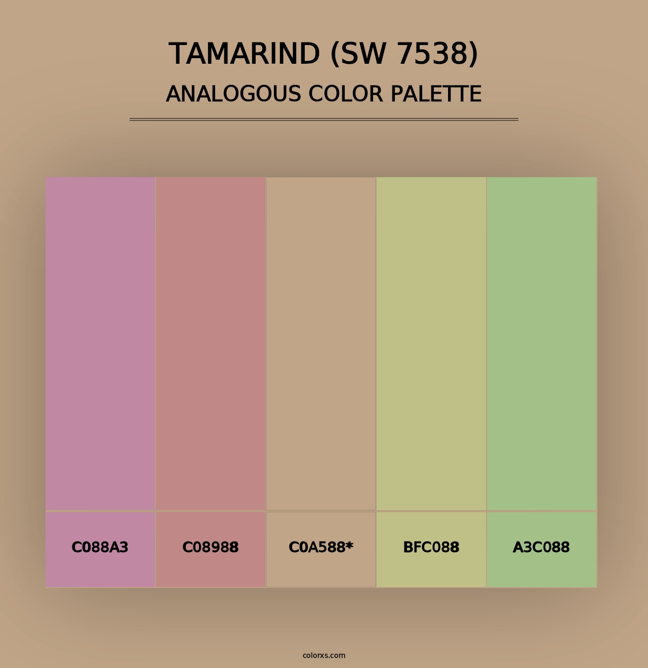 Tamarind (SW 7538) - Analogous Color Palette