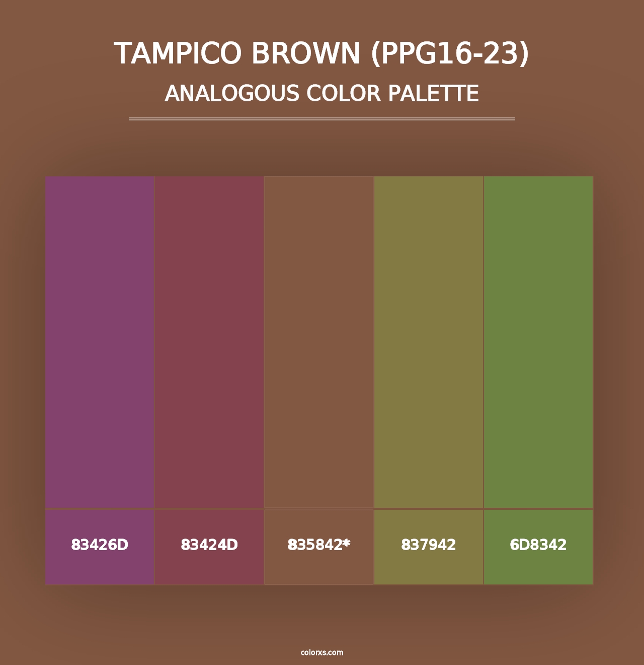 Tampico Brown (PPG16-23) - Analogous Color Palette