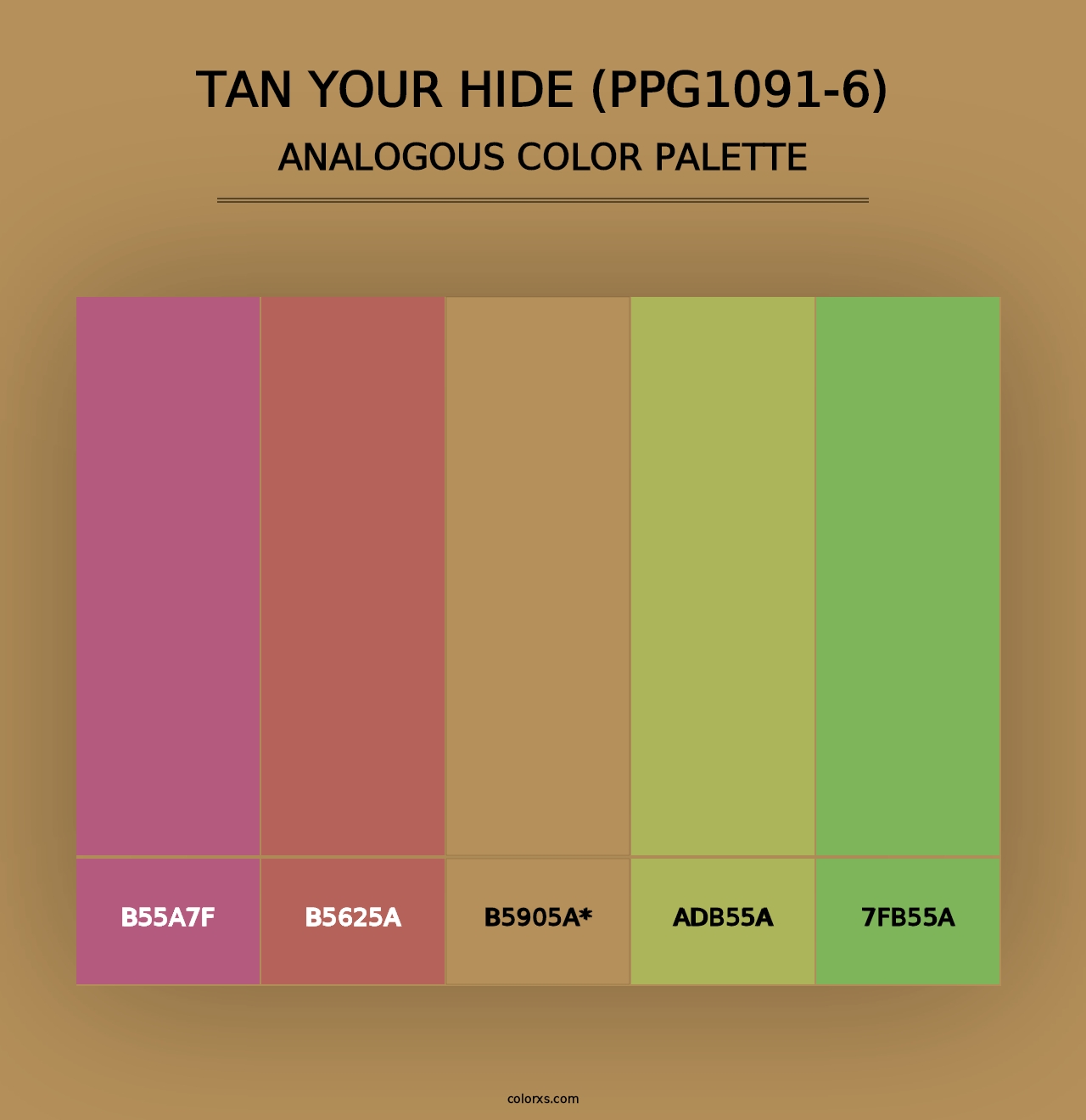 Tan Your Hide (PPG1091-6) - Analogous Color Palette