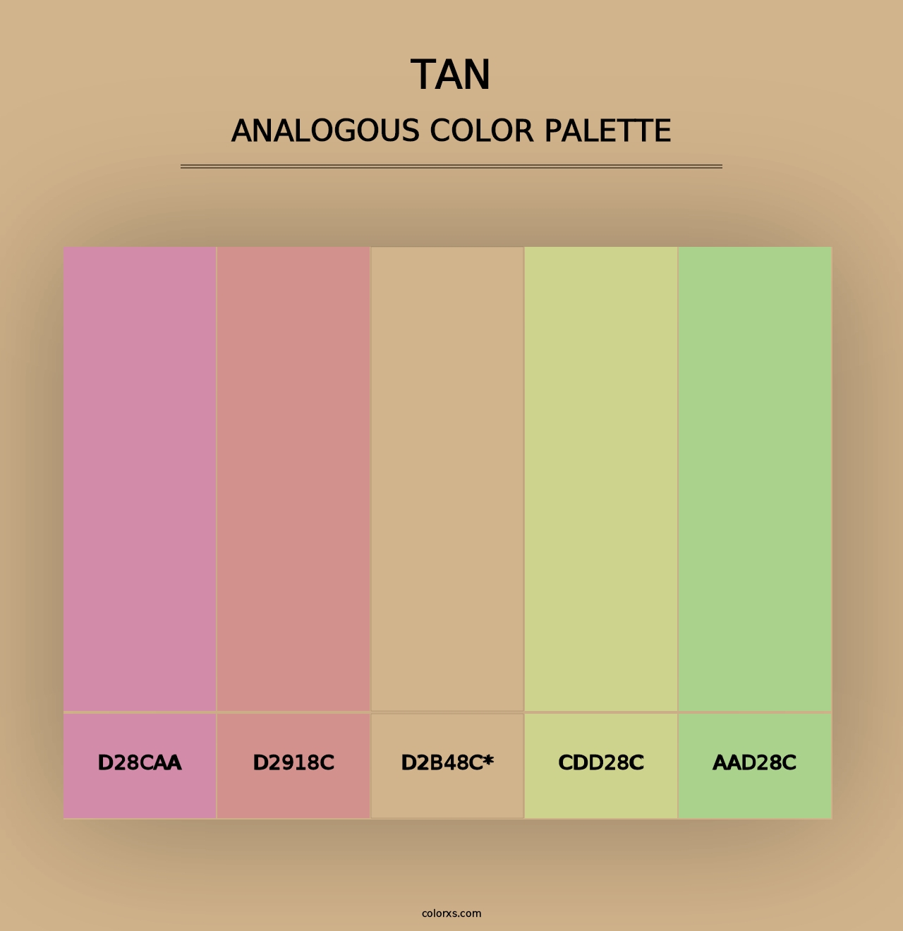 Tan - Analogous Color Palette