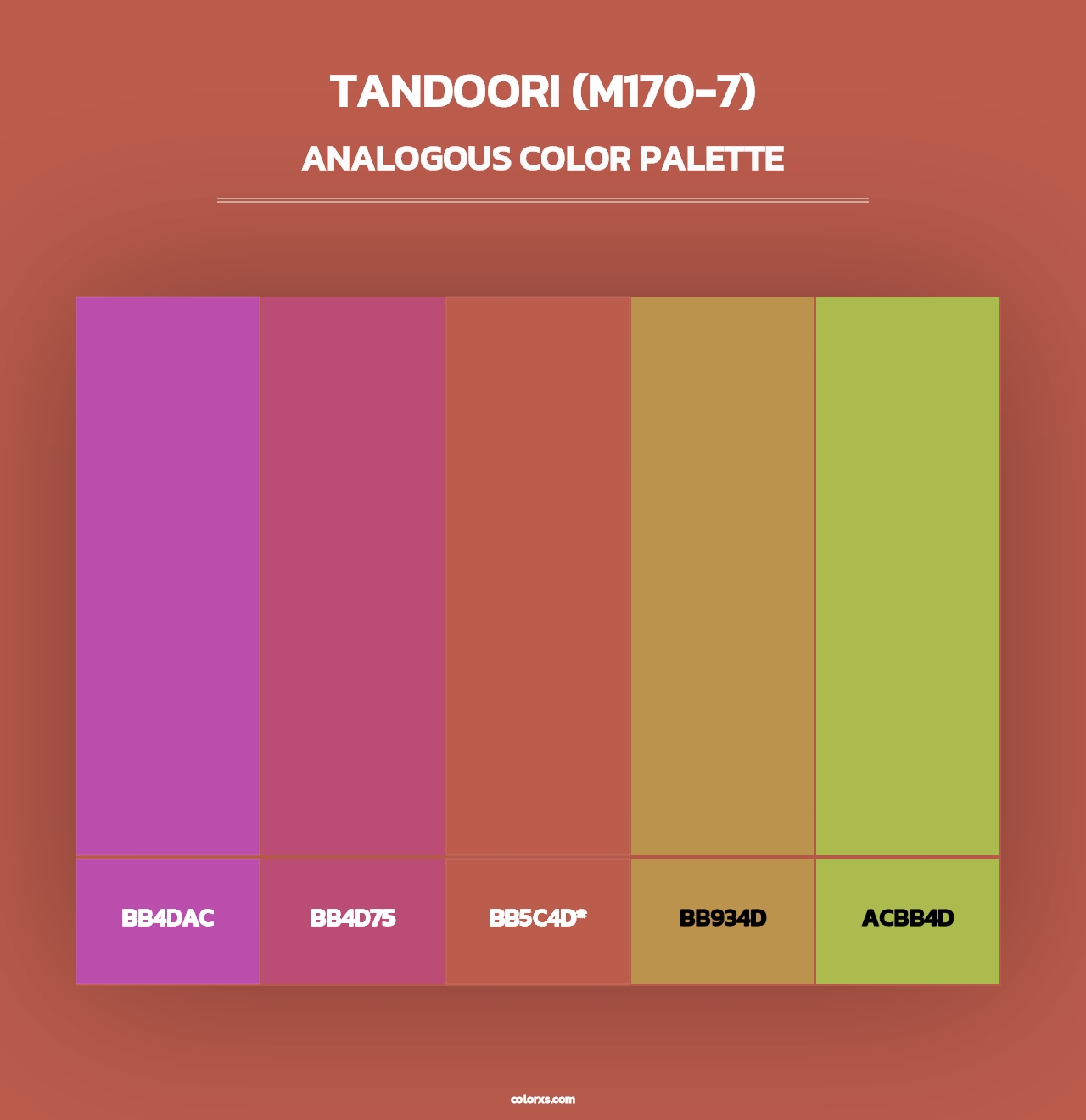 Tandoori (M170-7) - Analogous Color Palette