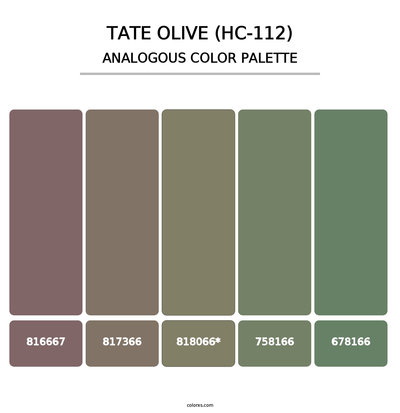 Tate Olive (HC-112) - Analogous Color Palette