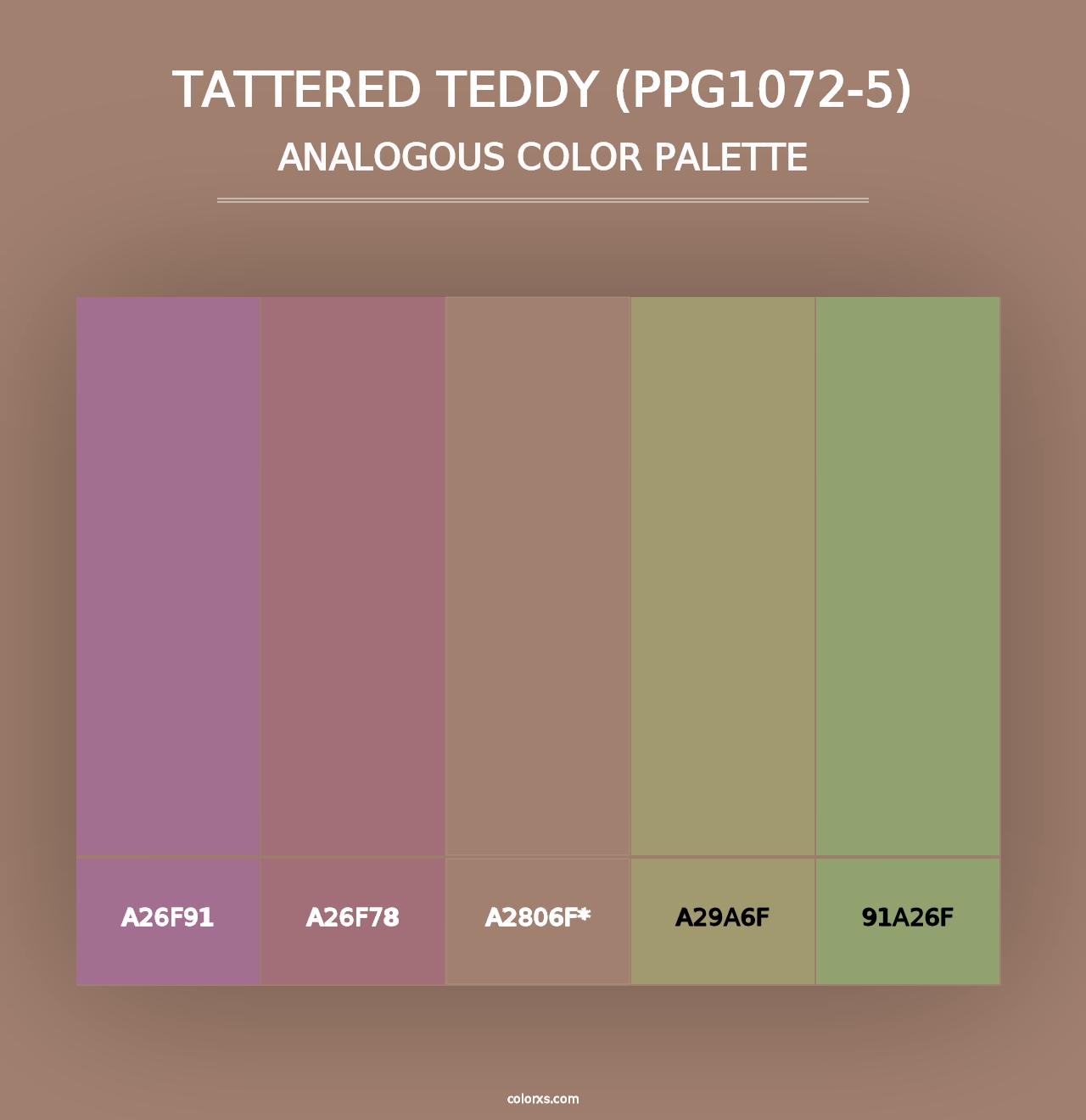 Tattered Teddy (PPG1072-5) - Analogous Color Palette