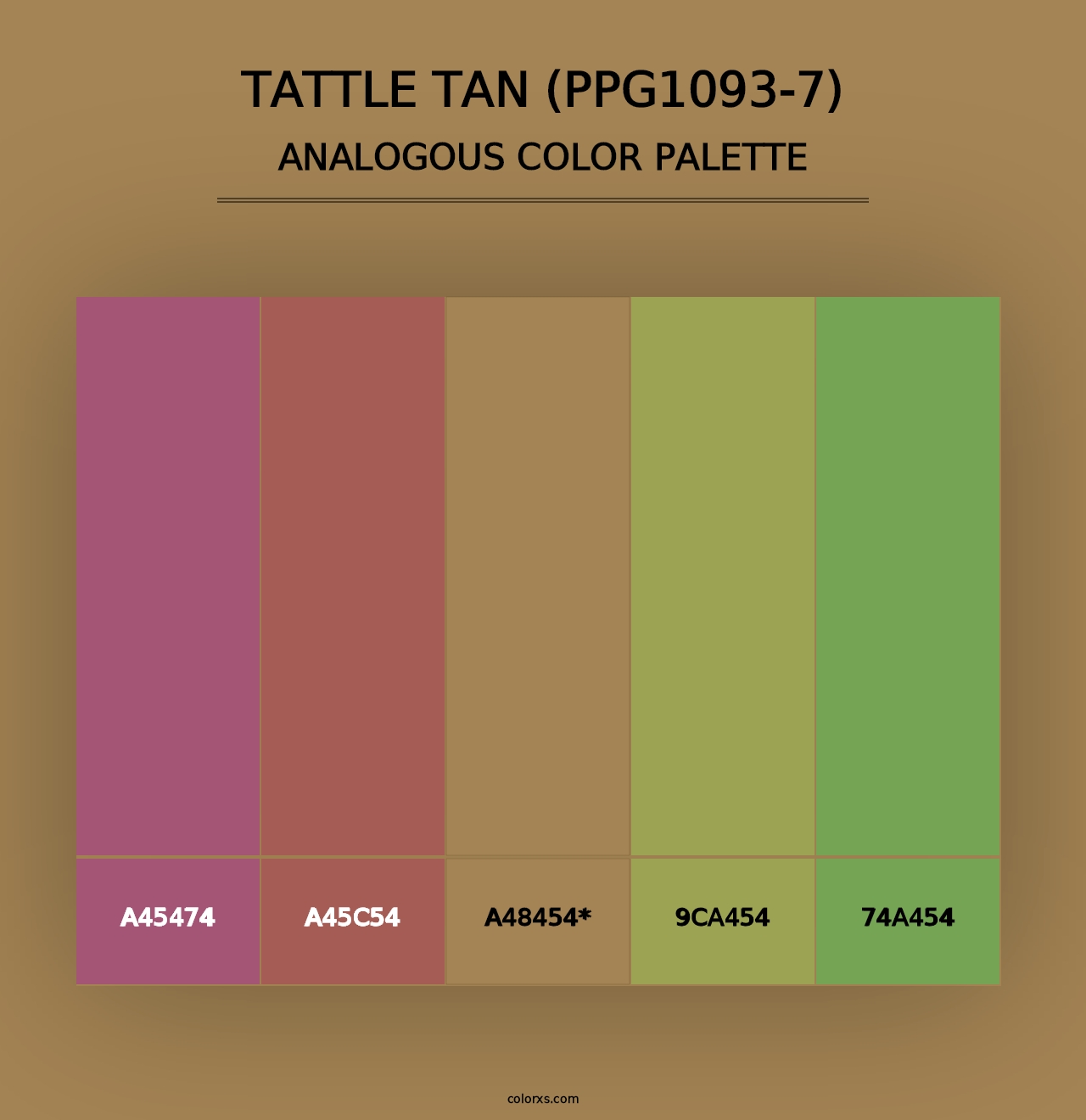 Tattle Tan (PPG1093-7) - Analogous Color Palette