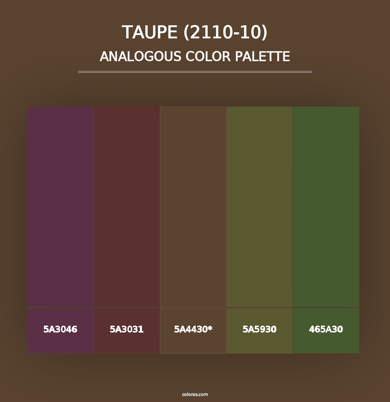 Taupe (2110-10) - Analogous Color Palette