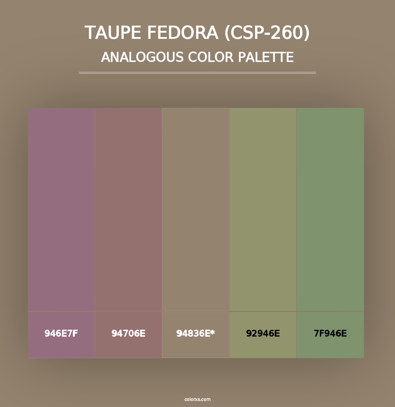 Taupe Fedora (CSP-260) - Analogous Color Palette