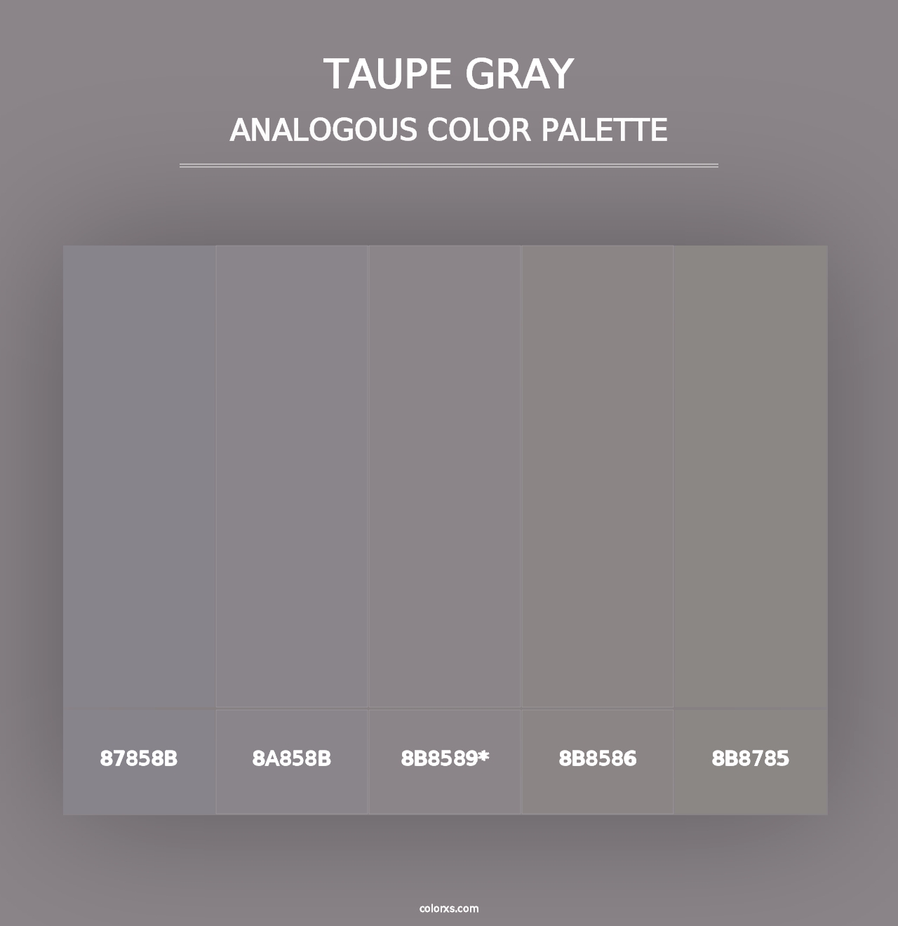 Taupe Gray - Analogous Color Palette