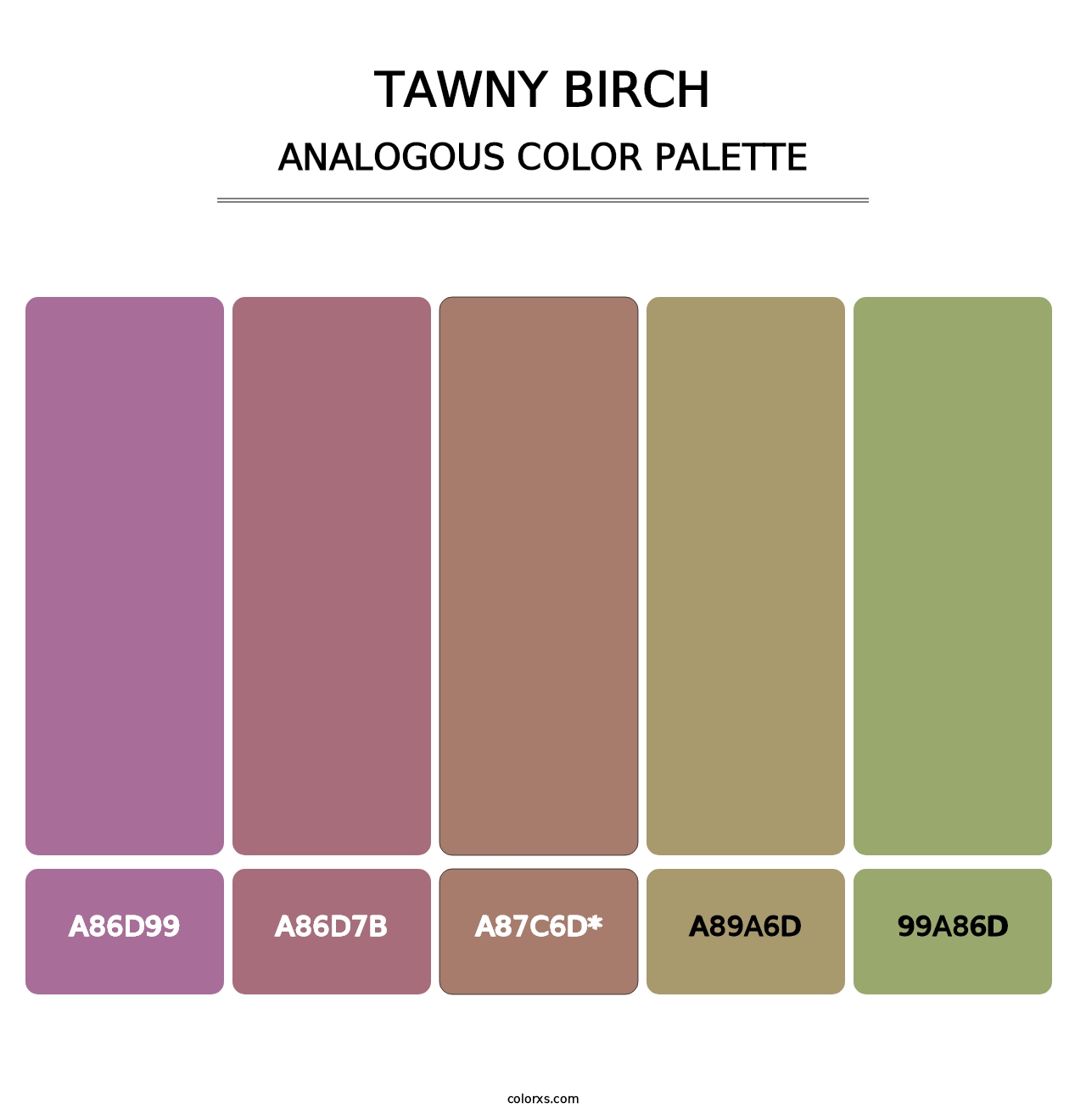 Tawny Birch - Analogous Color Palette