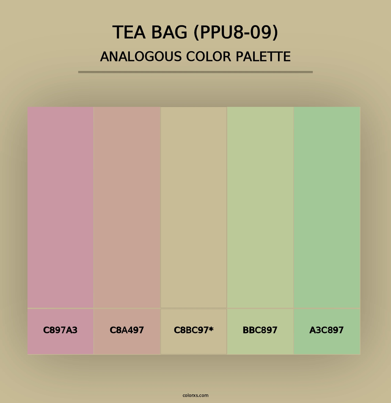 Tea Bag (PPU8-09) - Analogous Color Palette