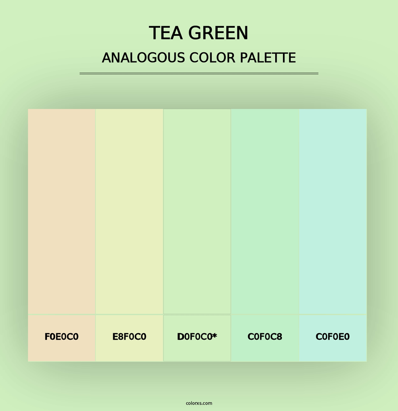 Tea Green - Analogous Color Palette