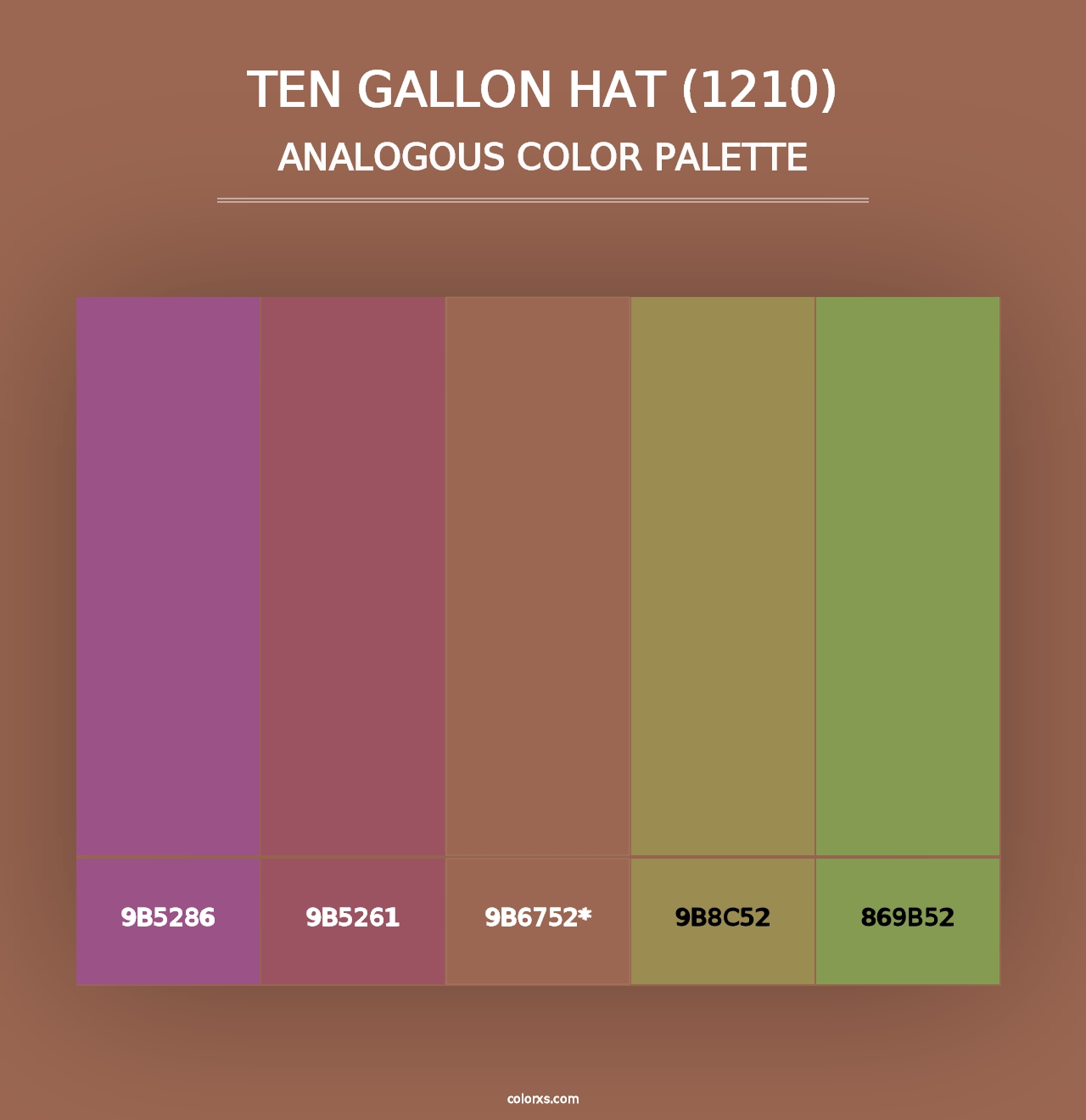 Ten Gallon Hat (1210) - Analogous Color Palette