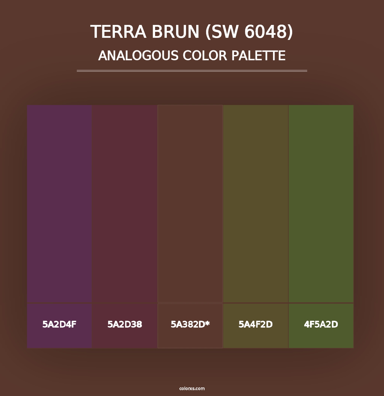 Terra Brun (SW 6048) - Analogous Color Palette