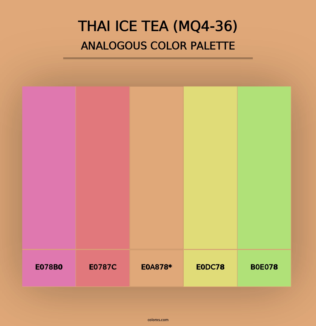 Thai Ice Tea (MQ4-36) - Analogous Color Palette