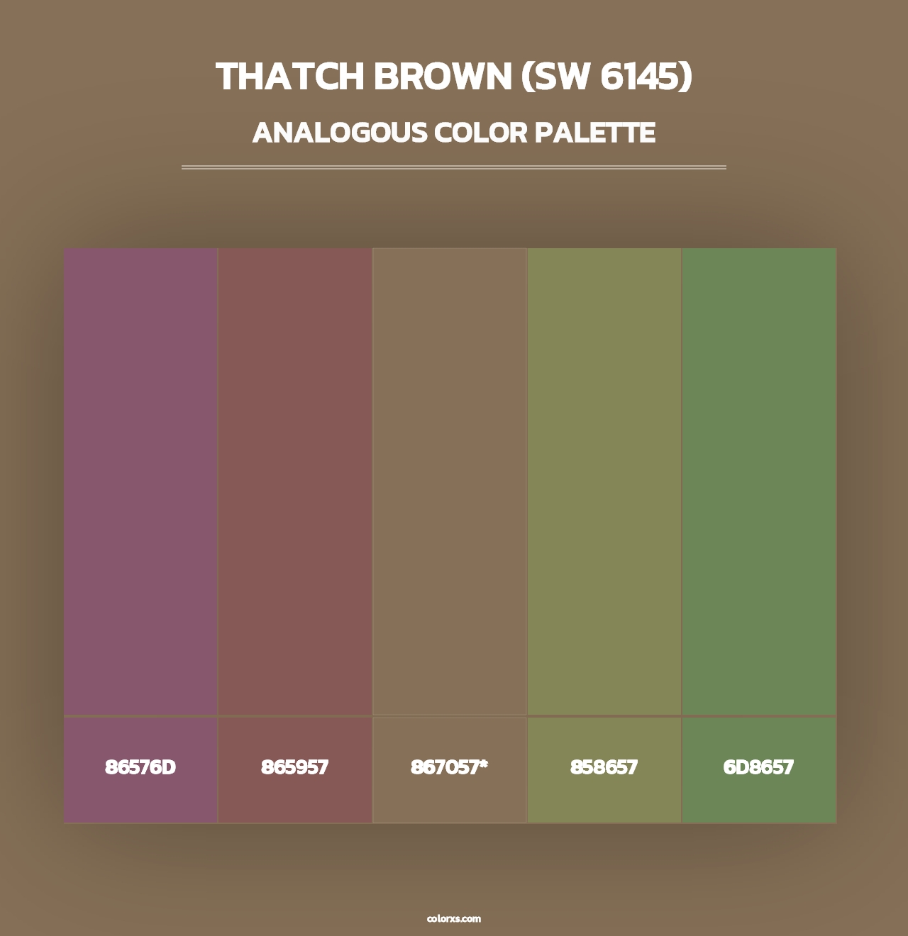 Thatch Brown (SW 6145) - Analogous Color Palette