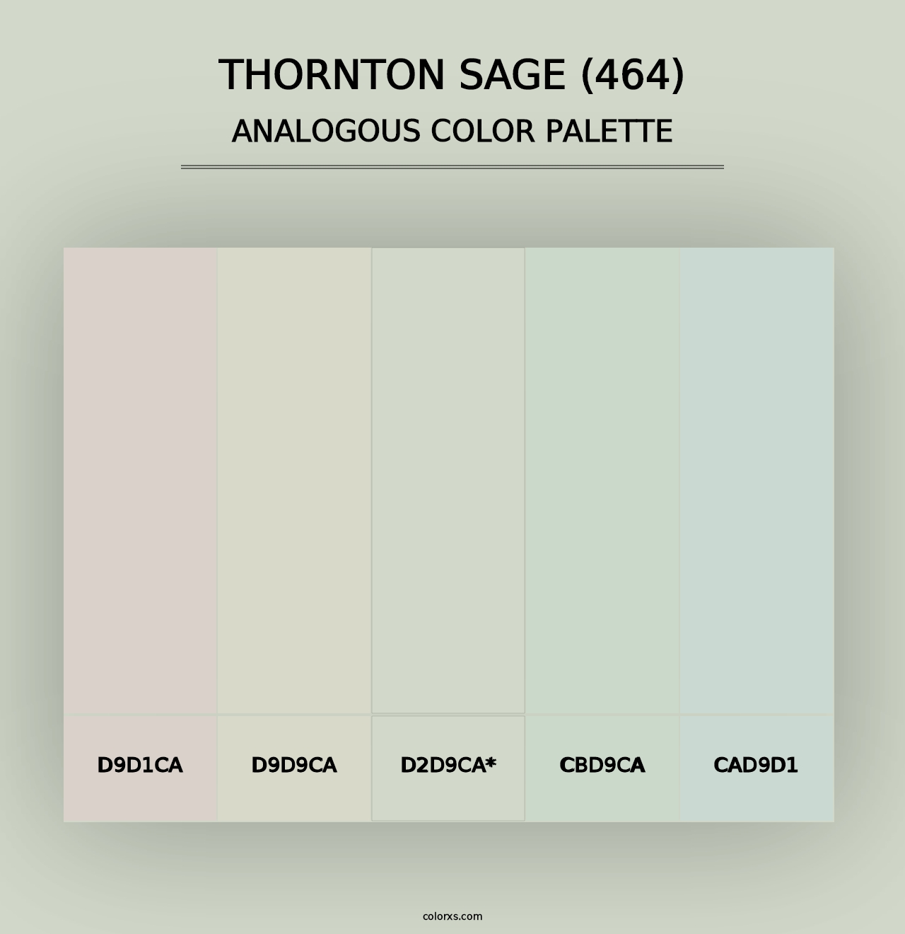 Thornton Sage (464) - Analogous Color Palette