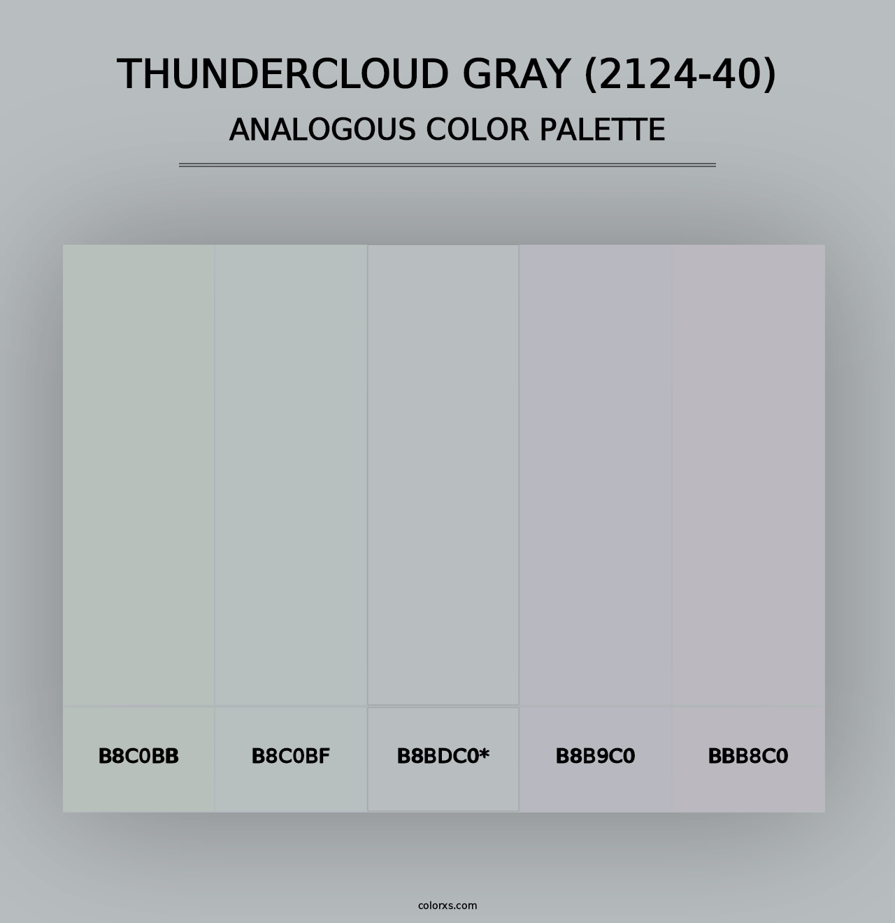 Thundercloud Gray (2124-40) - Analogous Color Palette