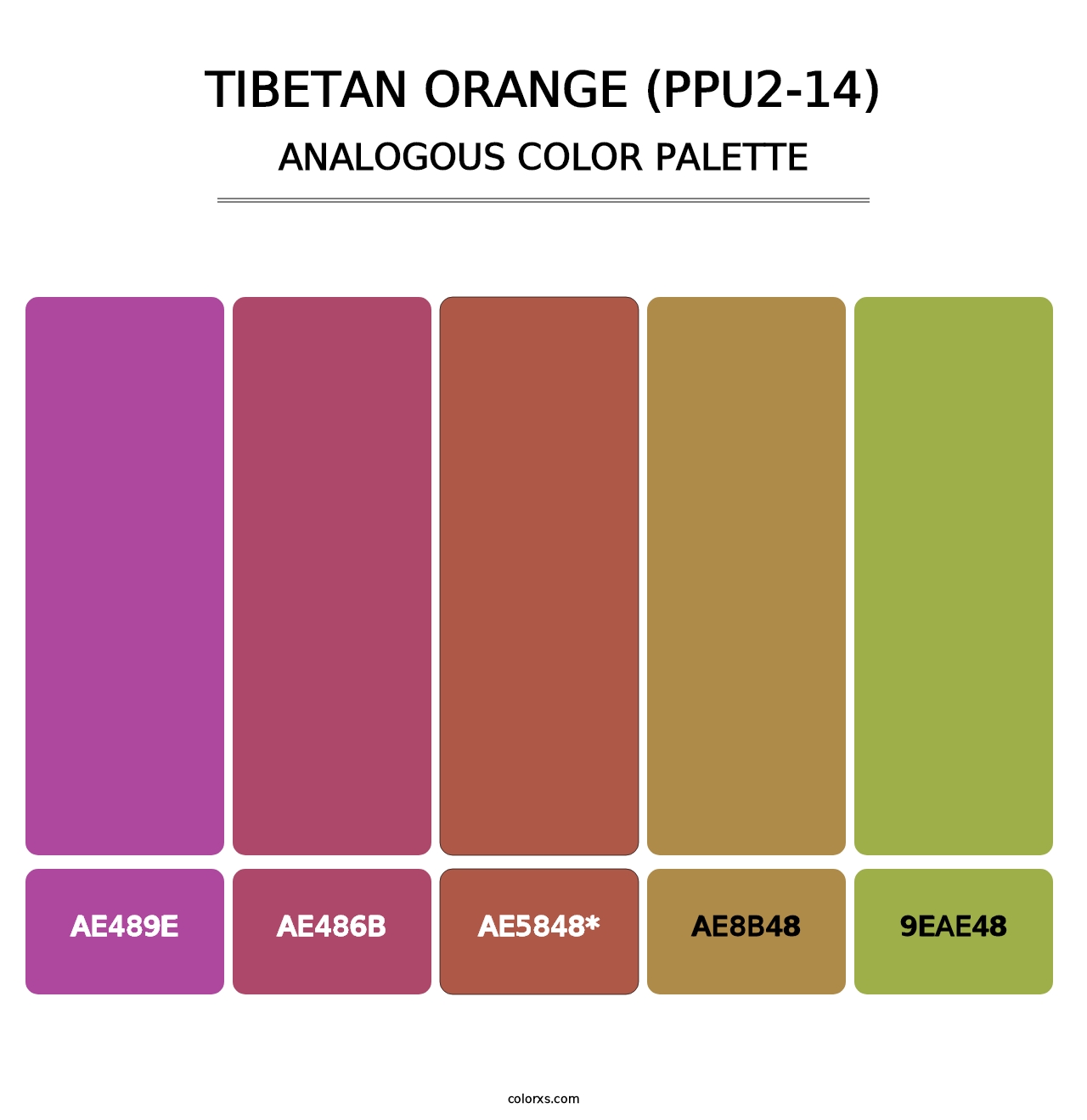 Tibetan Orange (PPU2-14) - Analogous Color Palette