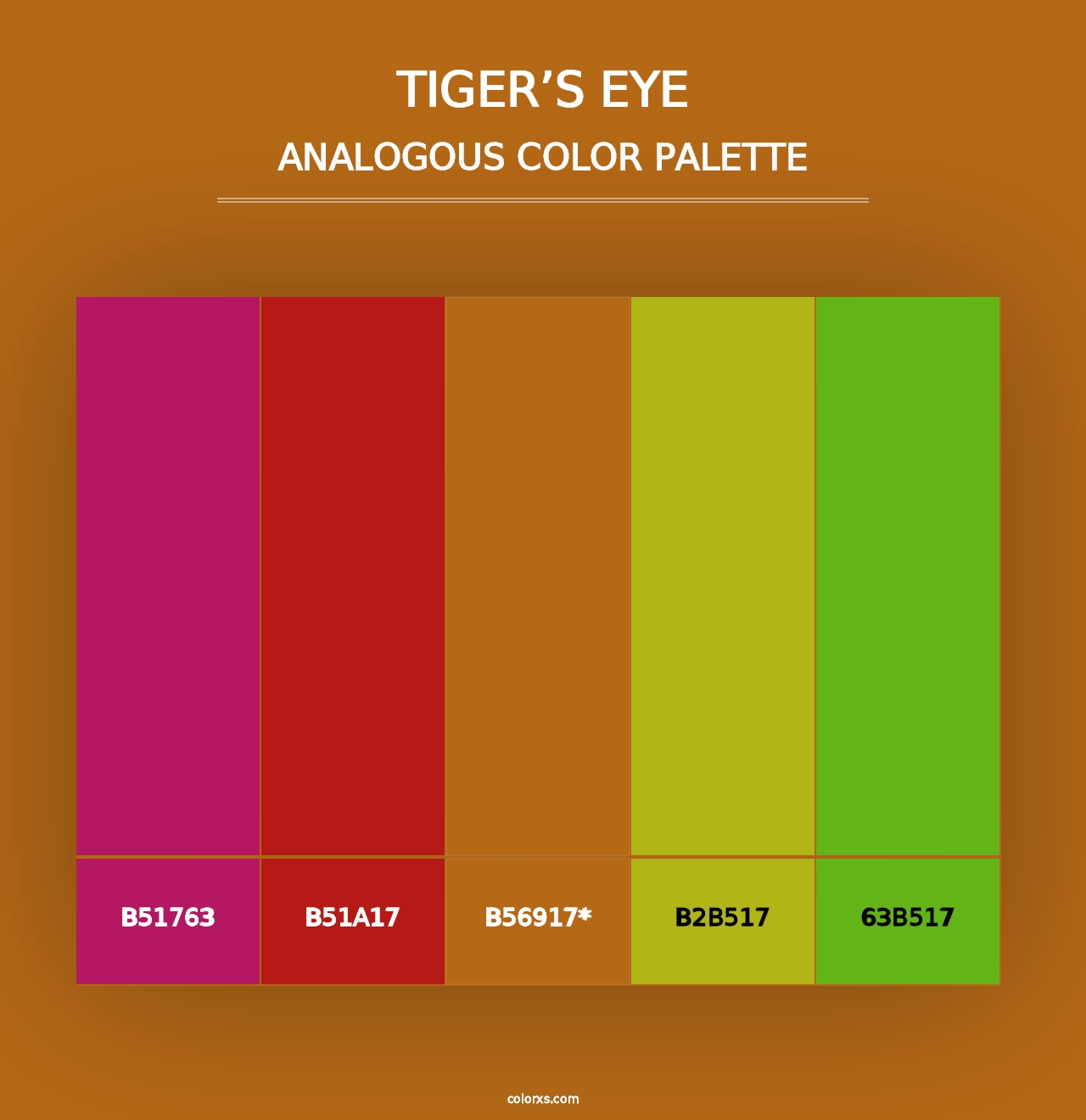 Tiger’s Eye - Analogous Color Palette