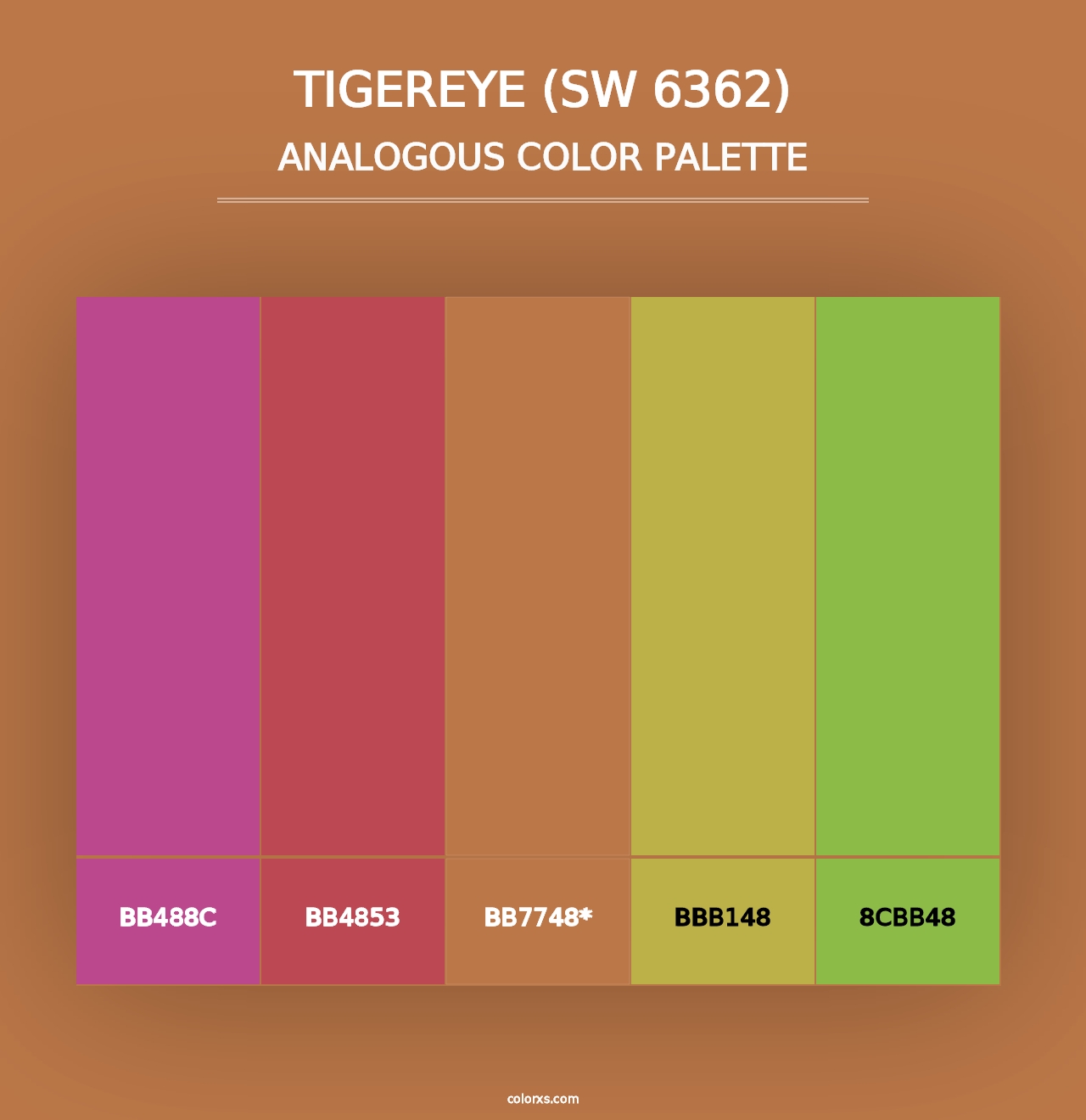 Tigereye (SW 6362) - Analogous Color Palette