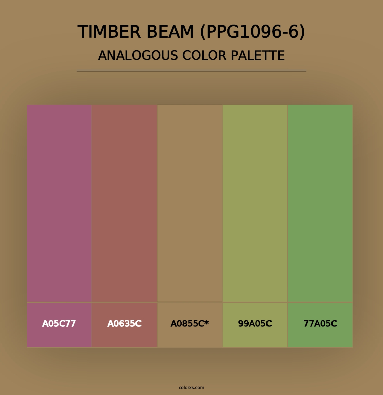 Timber Beam (PPG1096-6) - Analogous Color Palette