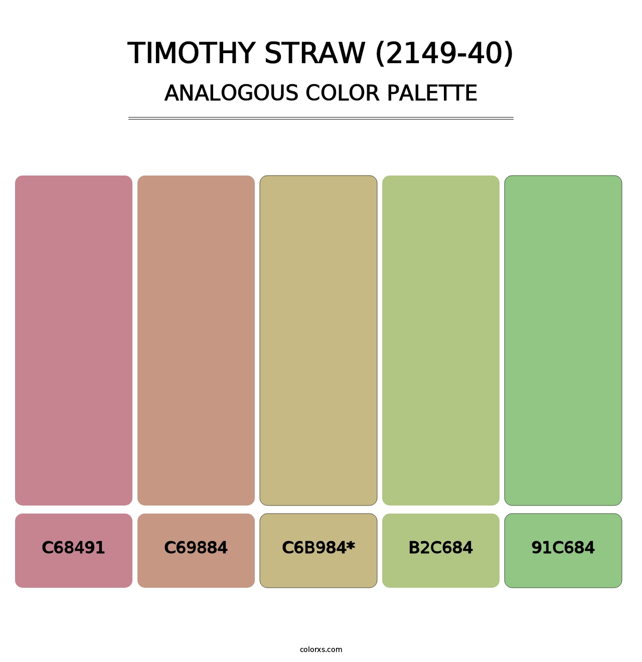 Timothy Straw (2149-40) - Analogous Color Palette