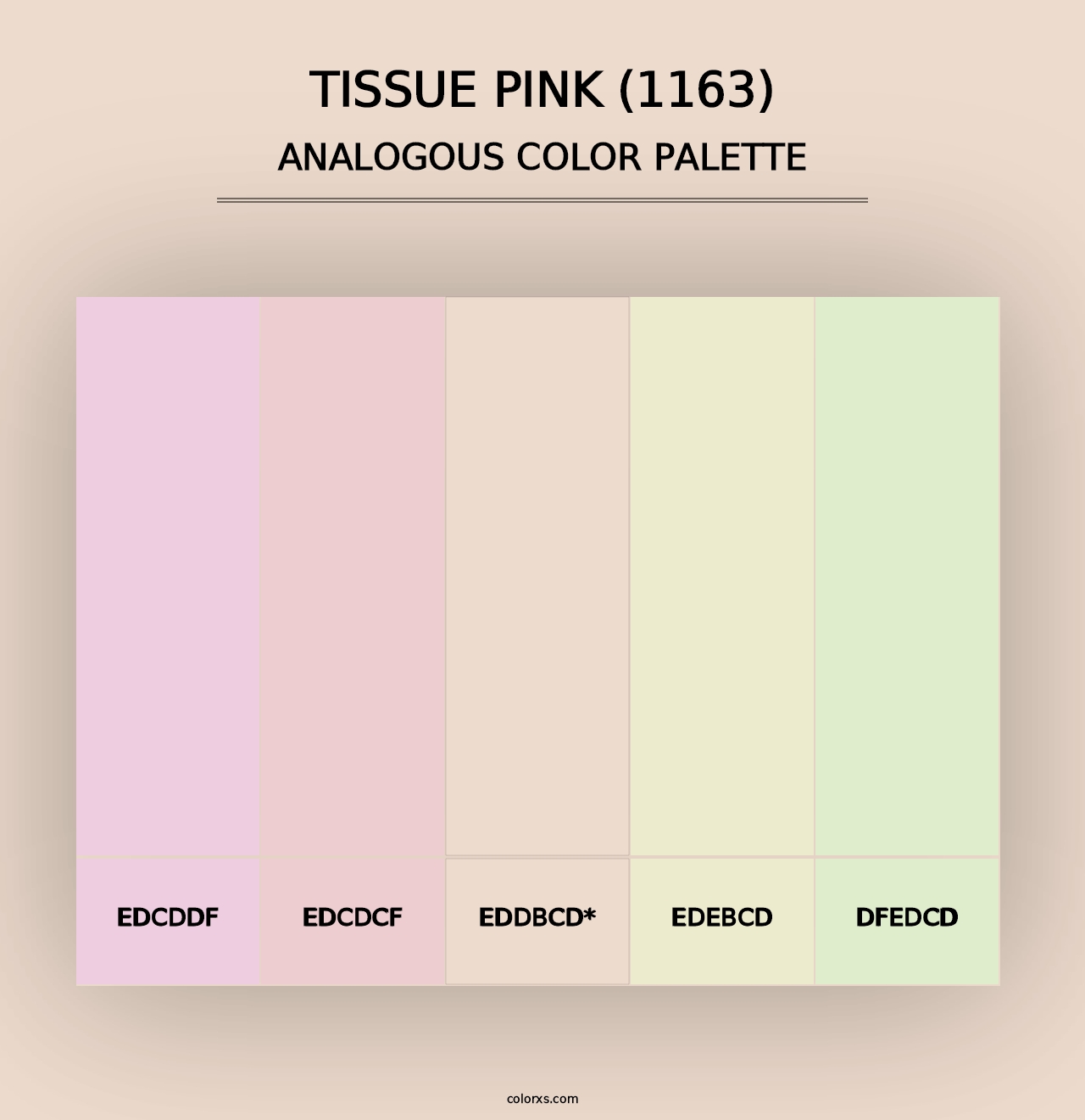 Tissue Pink (1163) - Analogous Color Palette