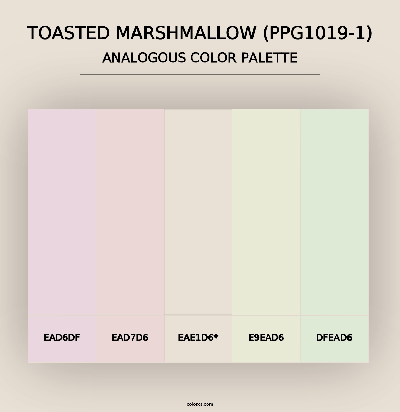 Toasted Marshmallow (PPG1019-1) - Analogous Color Palette