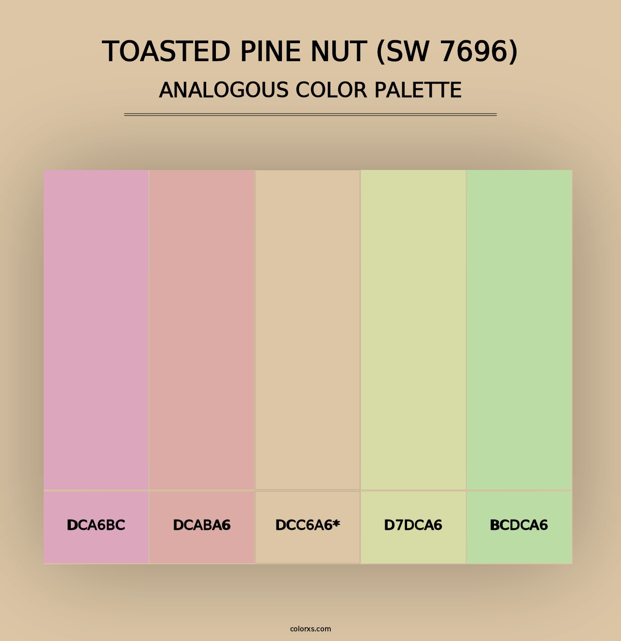 Toasted Pine Nut (SW 7696) - Analogous Color Palette