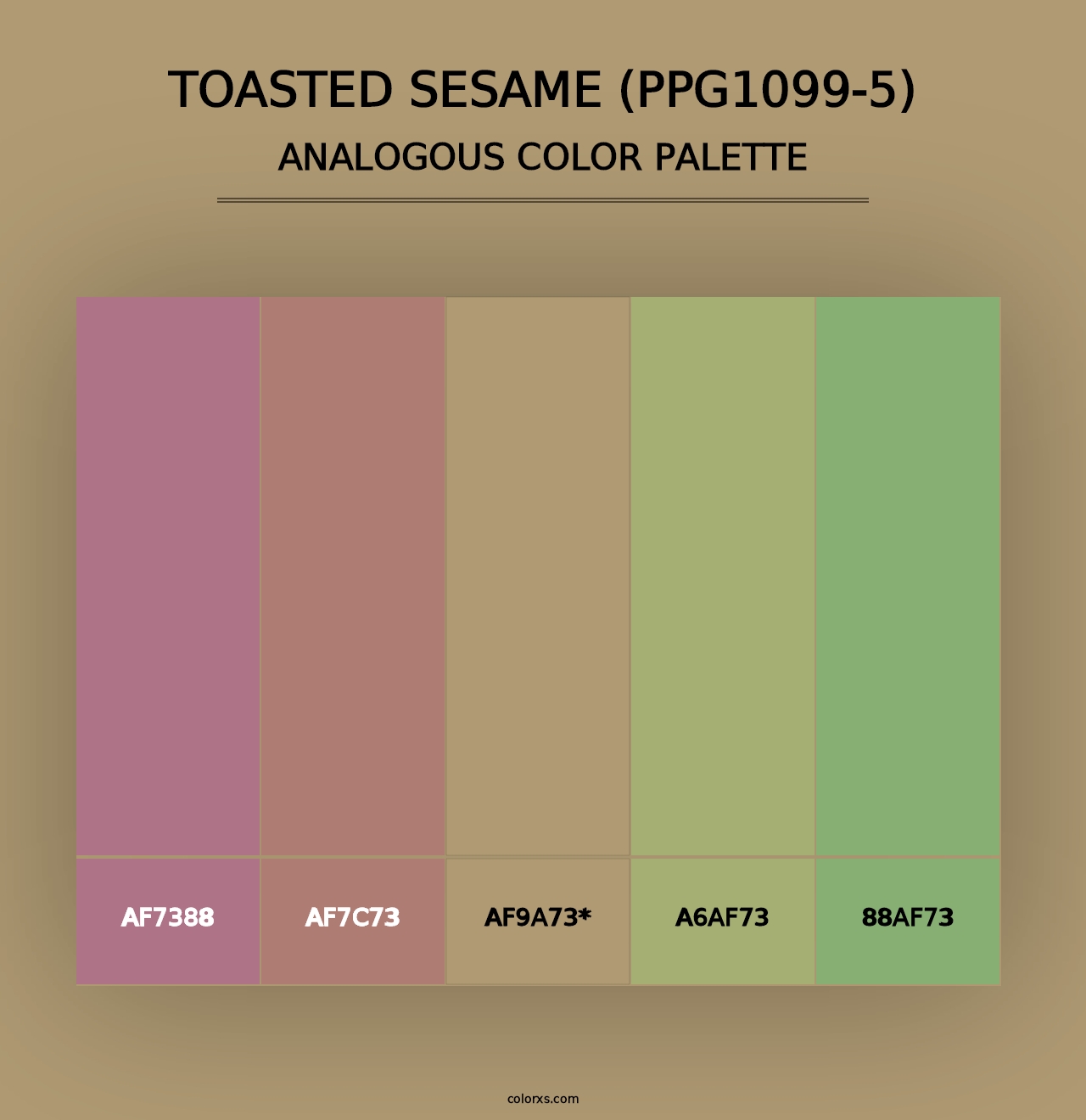 Toasted Sesame (PPG1099-5) - Analogous Color Palette