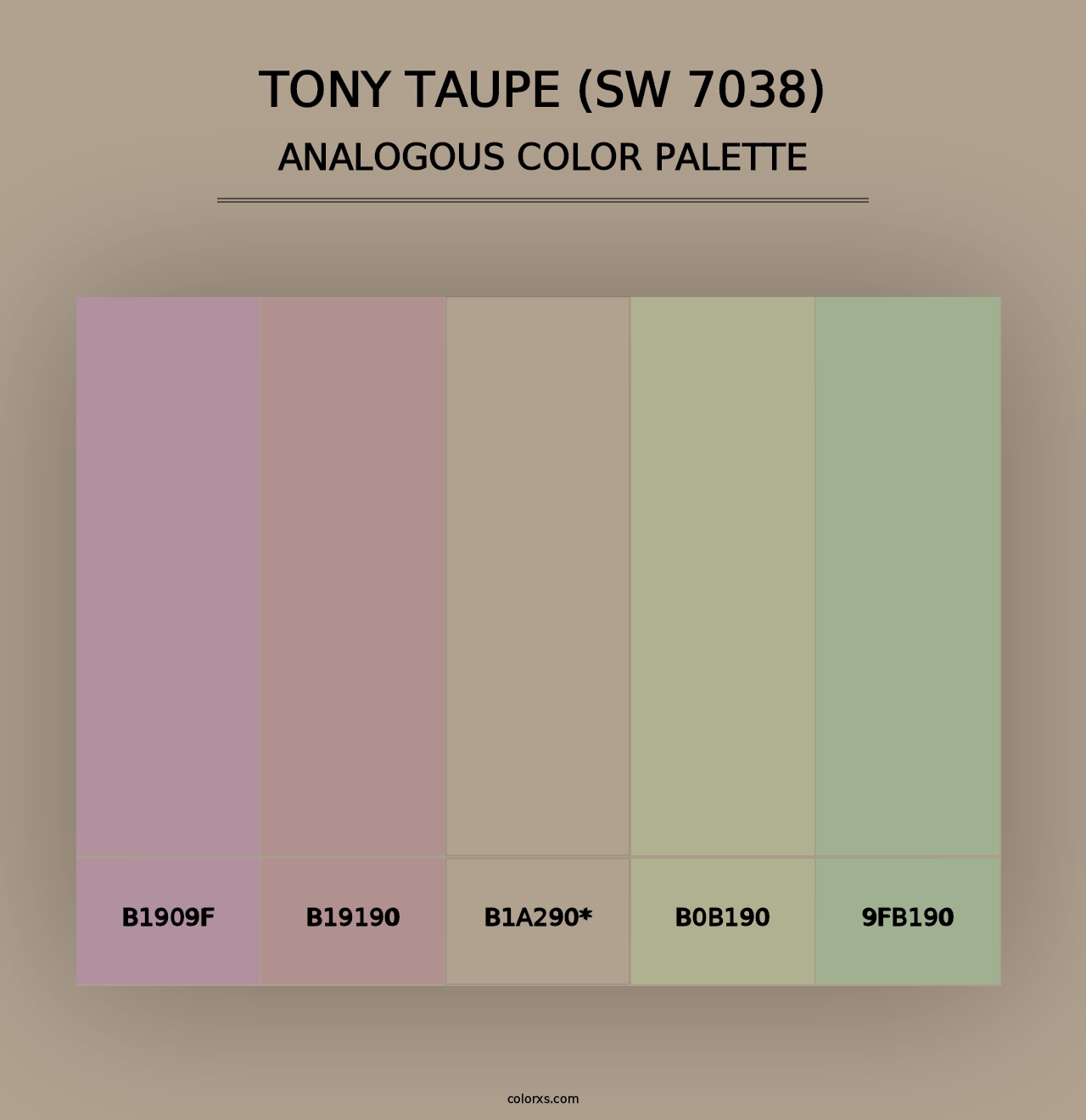 Tony Taupe (SW 7038) - Analogous Color Palette