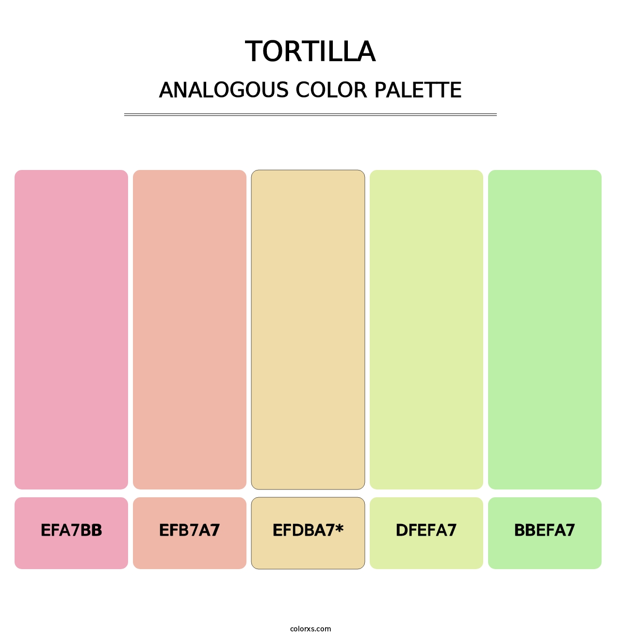 Tortilla - Analogous Color Palette